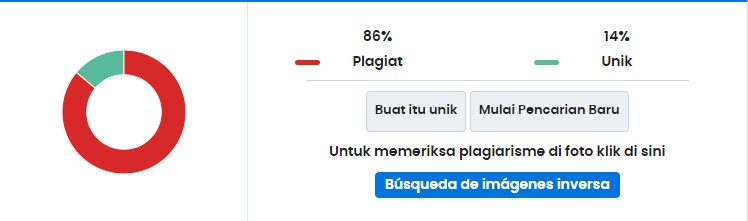 hasil pemeriksa plagiarisme