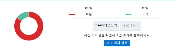 표절 검사기 결과