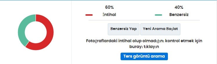 intihal denetleyicisinin sonuçları