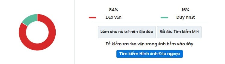 kết quả của người kiểm tra đạo văn